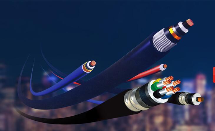 ��������ϵ��