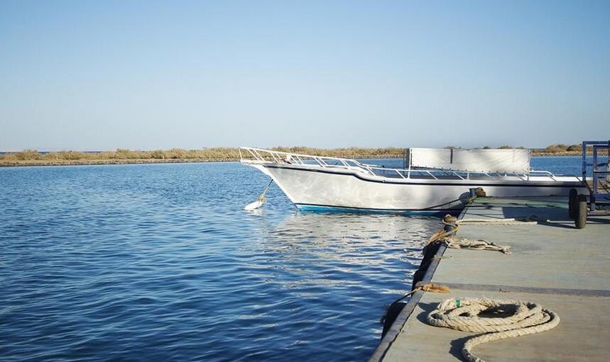 �Ĵ����ߵ�������