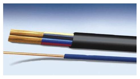 ������±��ȼ���ߵ��ص㼰ʶ��Ҫ��