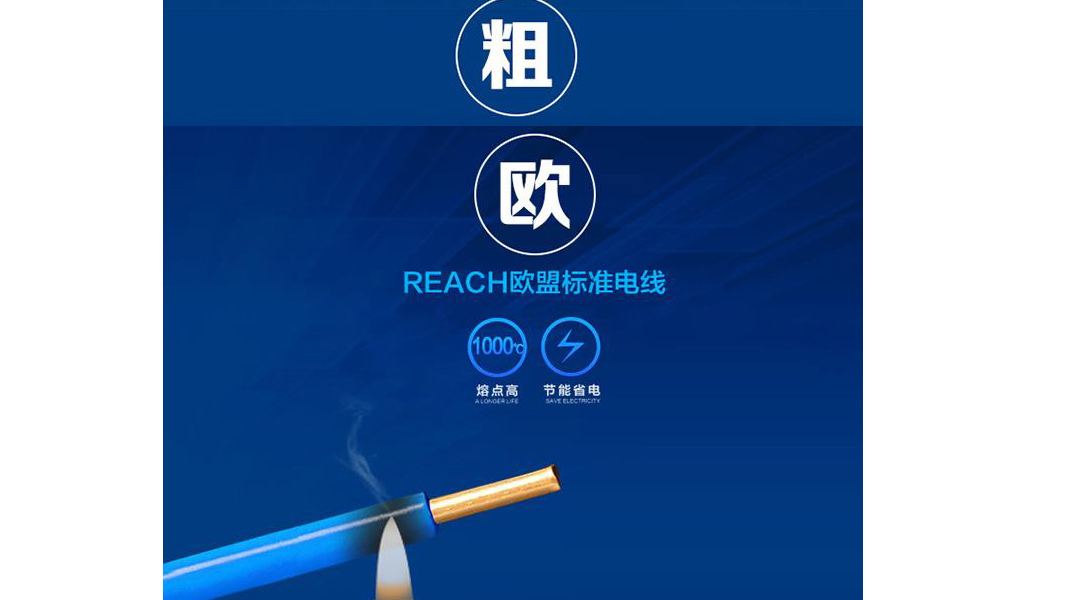 BBIN����ӯ����(�й�)���޹�˾����